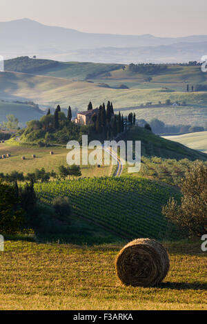 Toscane, Val d'Orcia, magnifique paysage de collines, de cyprès et d'oliviers, de l'Italie. Ferme isolée dans la campagne Banque D'Images