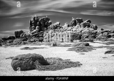 Une plage sur l'Îles Scilly avec un rocher recouvert par les algues à l'avant Banque D'Images