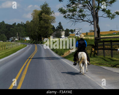 Amish homme monté sur un très petit poney le long de route de campagne déserte le comté de Lancaster en Pennsylvanie USA Banque D'Images