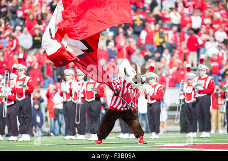 Madison, WI, USA. 3e oct, 2015. Blaireau Bucky divertit foule avant la NCAA Football match entre l'Iowa Hawkeyes et le Wisconsin Badgers au Camp Randall Stadium à Madison, WI. John Fisher/CSM/Alamy Live News Banque D'Images