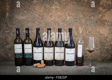 Les bouteilles de vin, de Tenuta di Valgiano, Vineyard and Winery, Valgiano, Toscane, Italie Banque D'Images