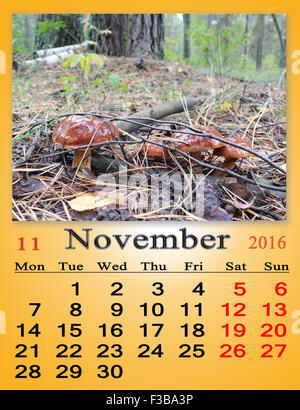 Calendrier pour Octobre 2016 avec le ruban de champignons Boletus badius Banque D'Images