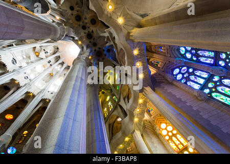 Barcelone, Espagne. La Sagrada Familia Interiors, conçu par Antonio Gaudi Banque D'Images