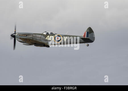 Supermarine Spitfire LF XVIe TE311 volant à la bataille d'Angleterre 75e anniversaire défilé à Goodwood en 2015 Banque D'Images