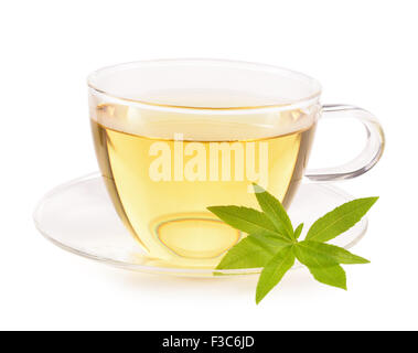 La verveine chaude et thé verveine feuilles isolées sur fond blanc. Aloysia citrodora. Antioxydant à base de verveine thé. Banque D'Images