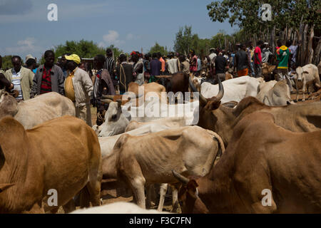 L'Afrique, l'Éthiopie, région de l'Omo, Ari Tribu les hommes à le marché du bétail Banque D'Images