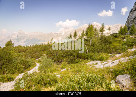 Une vue sur les alpes par un jour d'été en Italie Banque D'Images