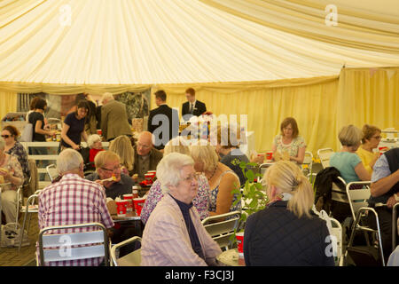 Flower Show Harrogate, North Yorkshire, Angleterre, Royaume-Uni. Banque D'Images