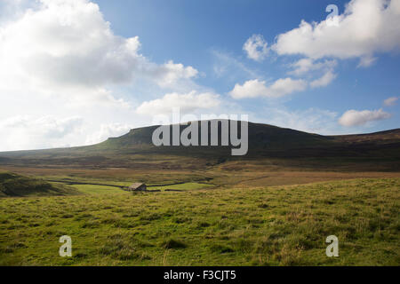 Bâtiment de ferme traditionnelle sur la prairie au pied de Pen-y-ghent ou Penyghent est tombé dans le Yorkshire Dales. C'est l'un des trois sommets du Yorkshire et se trouve à environ 3 kilomètres à l'est de Horton dans Ribblesdale. Cet éperon rocheux peut être vu de miles autour du Dales en faisant l'une des plus reconnaissables de repère dans le paysage. North Yorkshire, Angleterre, Royaume-Uni. Banque D'Images