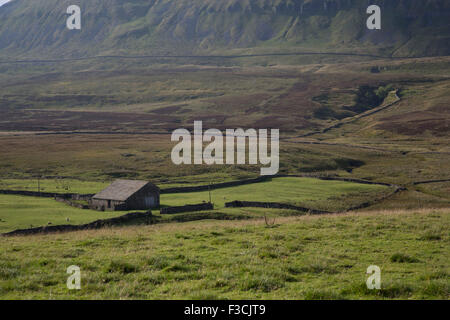 Bâtiment de ferme traditionnelle sur la prairie au pied de Pen-y-ghent ou Penyghent est tombé dans le Yorkshire Dales. C'est l'un des trois sommets du Yorkshire et se trouve à environ 3 kilomètres à l'est de Horton dans Ribblesdale. Cet éperon rocheux peut être vu de miles autour du Dales en faisant l'une des plus reconnaissables de repère dans le paysage. North Yorkshire, Angleterre, Royaume-Uni. Banque D'Images