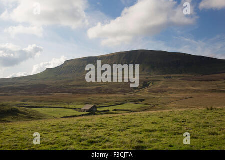 Bâtiment de ferme traditionnelle sur la prairie au pied de Pen-y-ghent ou Penyghent est tombé dans le Yorkshire Dales. C'est l'un des trois sommets du Yorkshire et se trouve à environ 3 kilomètres à l'est de Horton dans Ribblesdale. Cet éperon rocheux peut être vu de miles autour du Dales en faisant l'une des plus reconnaissables de repère dans le paysage. North Yorkshire, Angleterre, Royaume-Uni. Banque D'Images