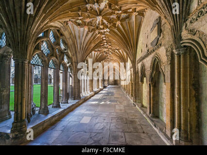 Le cloître, la Cathédrale de Canterbury, Canterbury, Kent, England, UK Banque D'Images