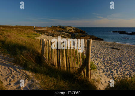 Dunes de sable au-dessus de la plage. Clôture à lattes et de l'herbe en premier plan. Personne marche sur pointe lointain Banque D'Images