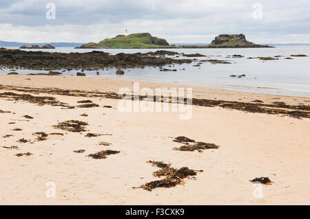 Yellowcraigs Beach donnant sur Fidra island et phare, East Lothian, Ecosse. Banque D'Images