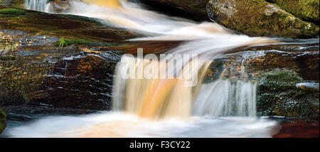 Fonctionnement de l'eau sur les roches dans le ruisseau de la forêt Banque D'Images