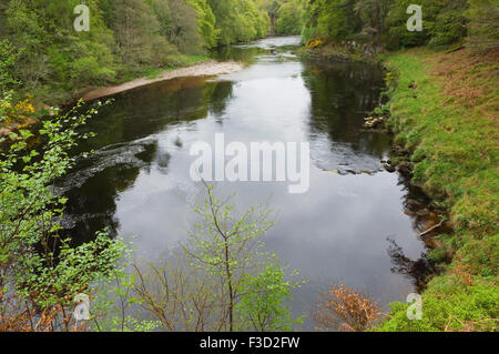 La rivière Findhorn au printemps près de Logie Steading, Moray, en Écosse. Banque D'Images