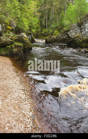 La rivière Findhorn au printemps près de Logie Steading, Moray, en Écosse. Banque D'Images