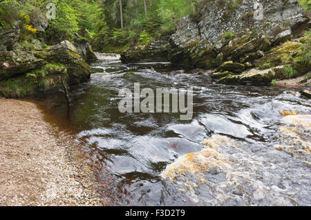 La rivière Findhorn au printemps près de Logie Steading, Moray, en Écosse. Banque D'Images