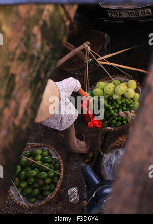 Vietnamienne se prépare pour une journée à vendre des avocats sur les rues de Hanoï, marché de Long Bien Banque D'Images