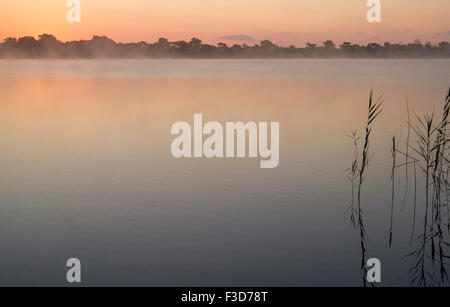 Matin brumeux de l'eau avec le lever du soleil sur le lac Banque D'Images