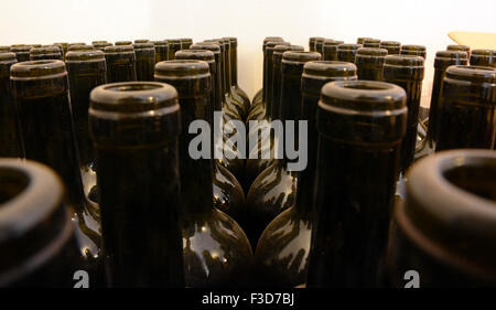 Des bouteilles de vin vides stockées Banque D'Images