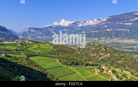 Sommaire des Vallée de l'Adige avec vigne sur le premier plan, Italie Banque D'Images
