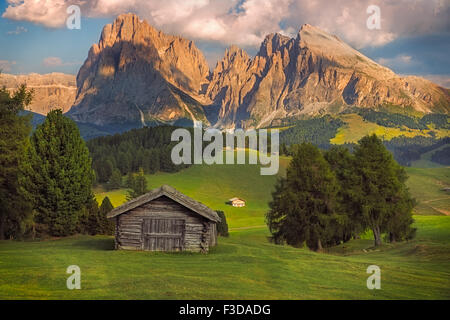 Siusi avec groupe Langkofel, Tyrol du Sud, Dolomites, Italie Banque D'Images