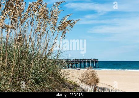 Plage de l'herbe et les Dunes avec un quai de pêche à Sandbridge Banque D'Images