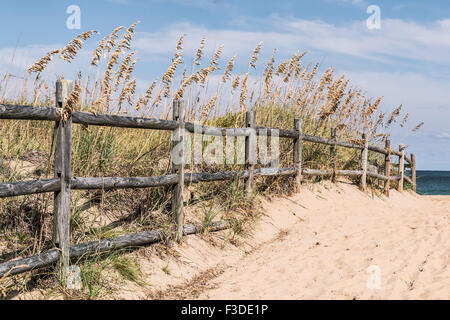 Clôture sur voie vers la plage d'herbe et de dunes à Sandbridge Banque D'Images