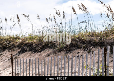 Pickett Clôture avec Beach Grass et dunes à Sandbridge Banque D'Images