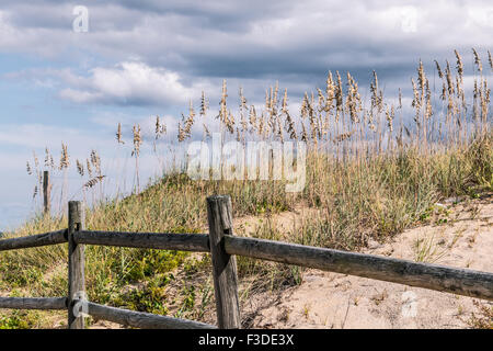 Clôture en bois avec plage de l'herbe et les Dunes à Sandbridge Banque D'Images