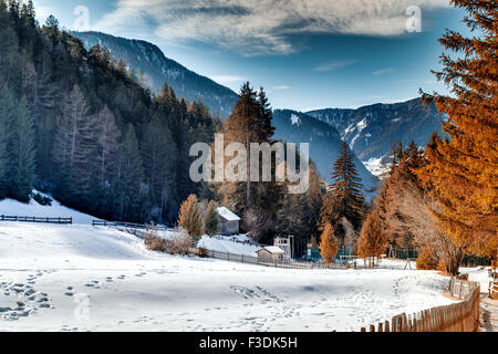 Brown à pied chemin avec clôture en bois dans une forêt de pins, d'épicéas et de sapins sur les Dolomites en hiver Banque D'Images