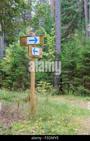 Sentier forestier signpost flèches avec Banque D'Images