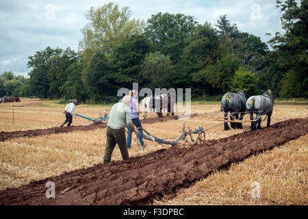 Le concours de labour Banque D'Images