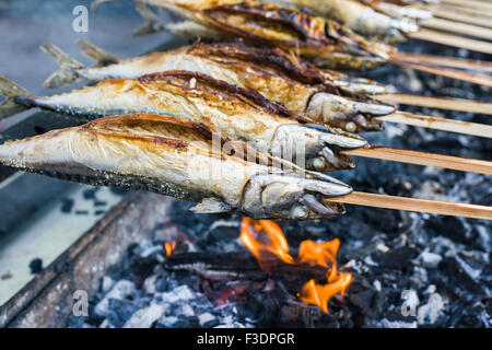 Stockfisch, poisson plat préparé sur bâton en bois d'être cuit, Grainau, Bavière, Allemagne Banque D'Images