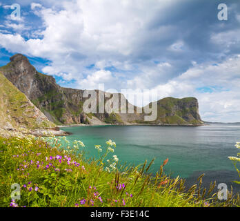 Plage pittoresque sur les îles Lofoten Banque D'Images