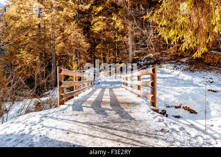 Brown à pied sur le chemin du pont de bois dans une forêt de pins, d'épicéas et de sapins sur les Dolomites en hiver Banque D'Images