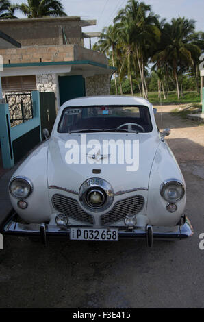 1951 Studebaker Champion, antique de luxe spécial, American vintage car à Playa Larga, République de Cuba Banque D'Images