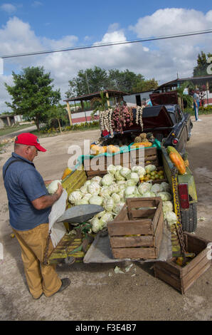 L'ail et l'ananas exposés à la vente sur l'arrière d'une voiture américaine à Playa Larga sur l'île de Cuba Banque D'Images