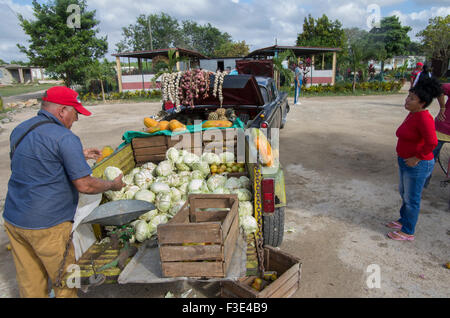 L'ail et l'ananas exposés à la vente sur l'arrière d'une voiture américaine à Playa Larga sur l'île de Cuba Banque D'Images