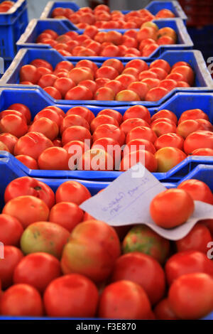 Boîtes de tomate Banque D'Images