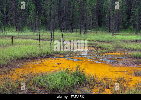 Les Pots de peinture, le fer froid riche en sources minérales dans le Parc National de Kootenay en Colombie-Britannique, Canada Banque D'Images