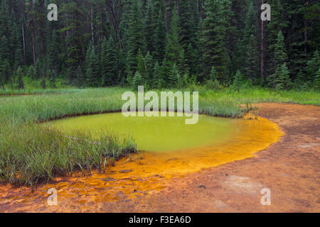 Les Pots de peinture, le fer froid riche en sources minérales dans le Parc National de Kootenay en Colombie-Britannique, Canada Banque D'Images