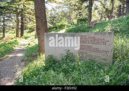 La colline de San Giusto à Trieste, dans le parc du souvenir en mémoire des monuments en pierre (parc Parco della Rimembranza) sur la colline de San Giusto à Trieste. Banque D'Images