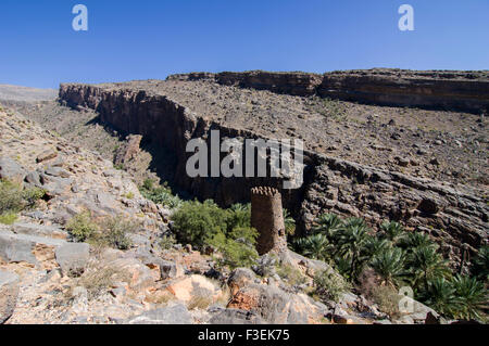 Vue sur les ruines de la tour et de canyon dans l'oasis village de In Misfat al Abriyeen dans le Sultanat d'Oman, Banque D'Images