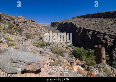 Vue sur les ruines de la tour et de canyon dans l'oasis village de In Misfat al Abriyeen dans le Sultanat d'Oman, Banque D'Images