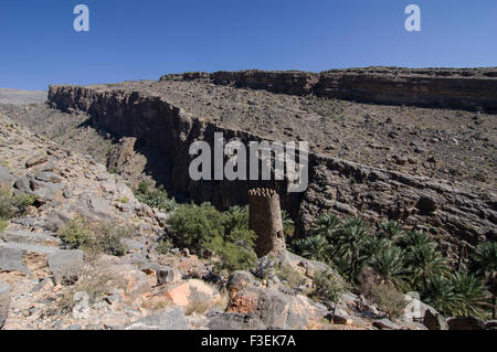 Vue sur les ruines de la tour et de canyon dans l'oasis village de In Misfat al Abriyeen dans le Sultanat d'Oman, Banque D'Images