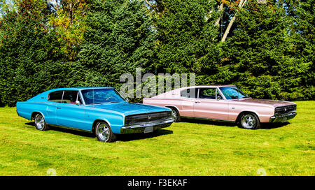 Deux 1966 Dodge Charger sur l'herbe Banque D'Images