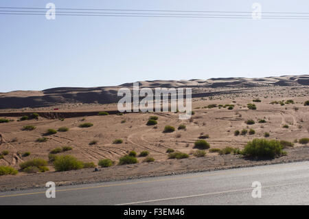 Les chameaux de Wahiba Sands à al Sharqiya désert avec dunes de sable dans le Sultanat d'Oman Banque D'Images