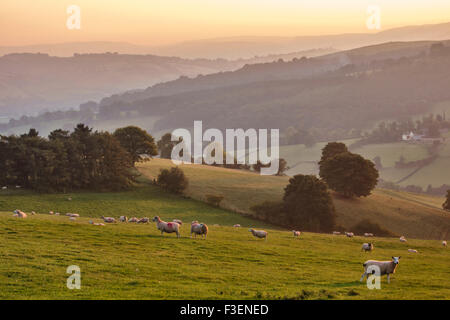 Coucher du soleil sur la frontière galloise près de Knighton - vue ouest de Stonewall Hill dans le Herefordshire vers les collines du Pays de Galles Banque D'Images